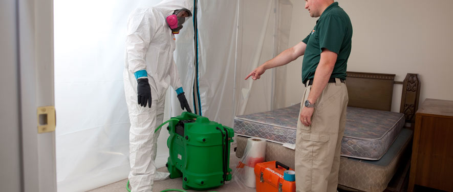 Sharon, CT mold removal process